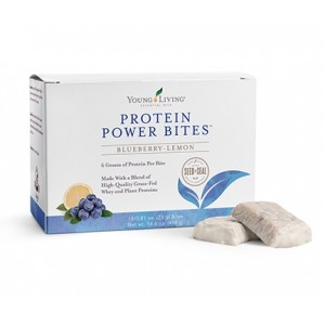 Protein Power Bites